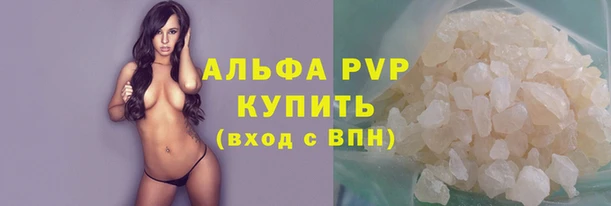 стаф Белоозёрский