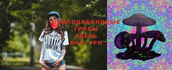 стаф Белоозёрский