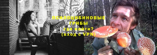 стаф Белоозёрский