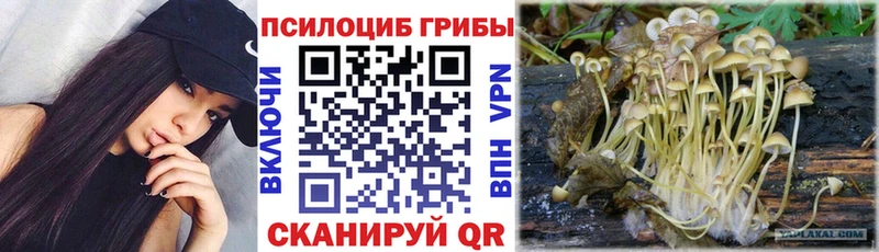 Купить закладки Верхнеуральск Галлюциногенные грибы Psilocybine cubensis